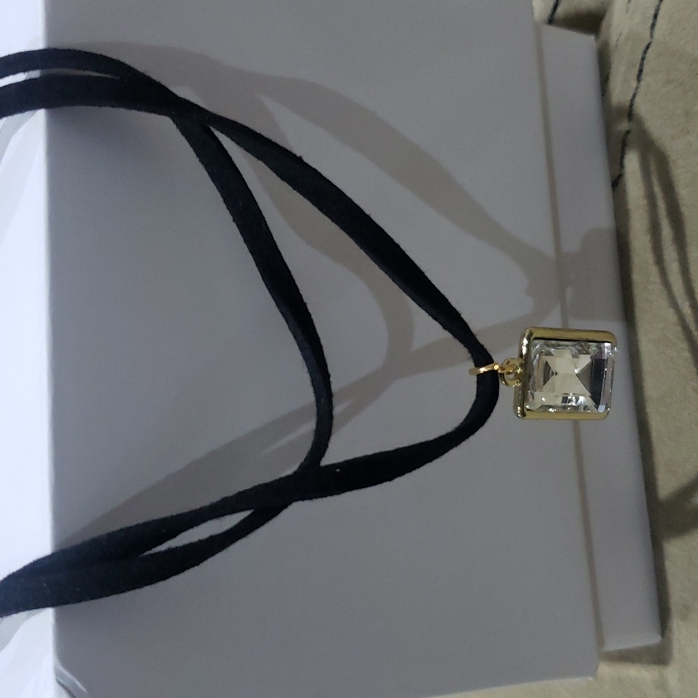 Chocker Necklace - Picture 3 of 5